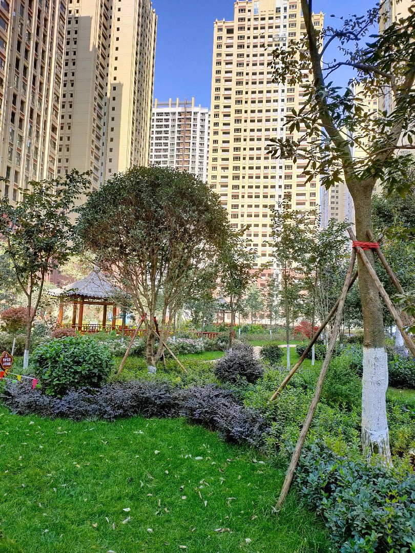 麒麟区南片区毛坯3室2厅2卫二手房出售16