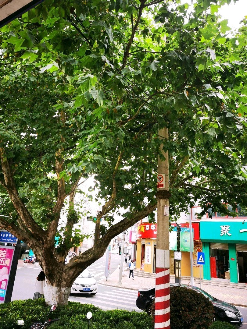 麒麟区城中精装2室2厅1卫二手房出售14
