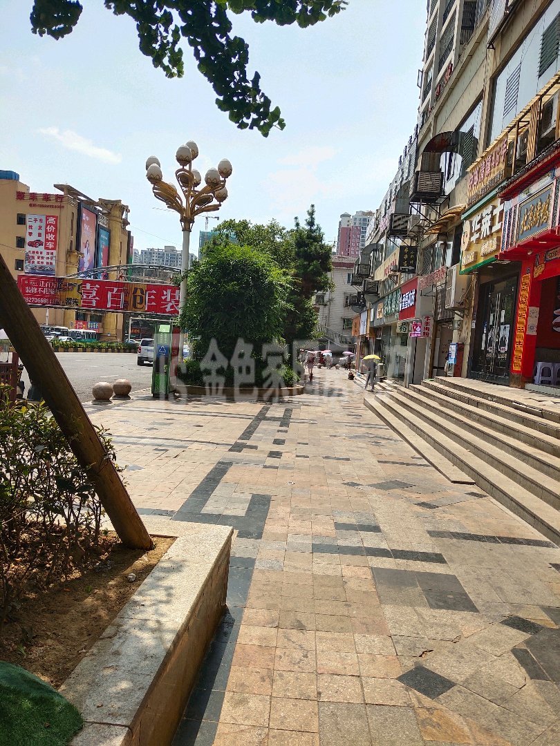 中环国际A区,中环国际菜场正街商铺，市中心商业街，即买即收租2