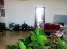 介休市|南大街房管局宿舍3室2厅1卫出售|买房租房佣金全返