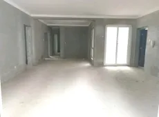 望城区|中新森林海4室2厅2卫出售