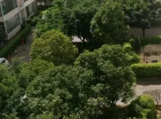 楚雄市|盘龙云海小区3室2厅1卫出售