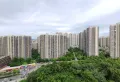 政策已经至此，房价逐渐回升，观望后悔莫及17
