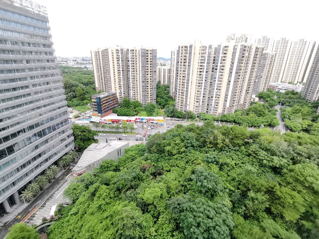 山海名门,政策已经至此，房价逐渐回升，观望后悔莫及18