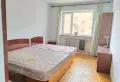 全身心漫步在一片阳光之中闲适氛围随意流露1