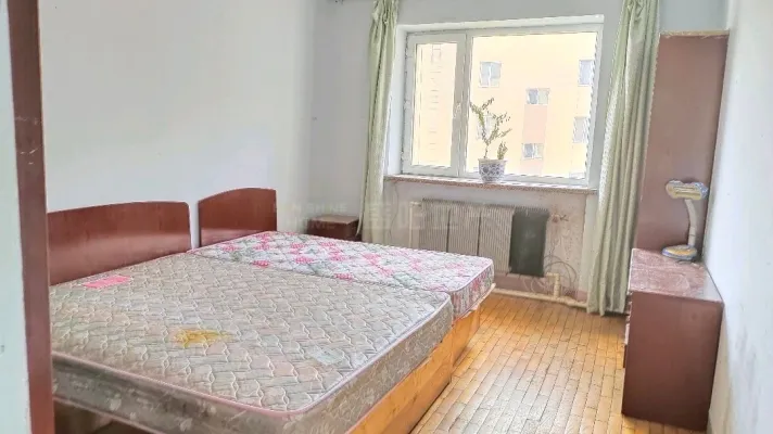 全身心漫步在一片阳光之中闲适氛围随意流露