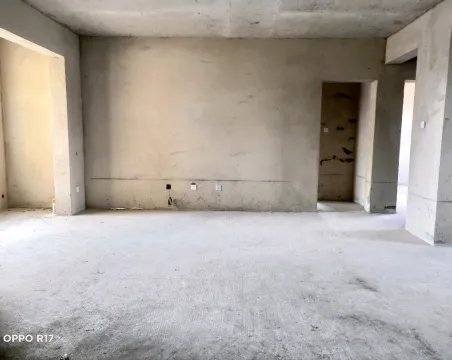 龙湾半岛3室2厅2卫毛坯