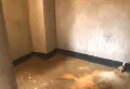森林国际140平湖景 单价便宜 三房两厅两卫7