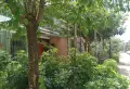 天然居 3室2厅2卫1阳台 观景房 享受生活从这里开始15
