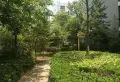 天然居 3室2厅2卫1阳台 观景房 享受生活从这里开始17