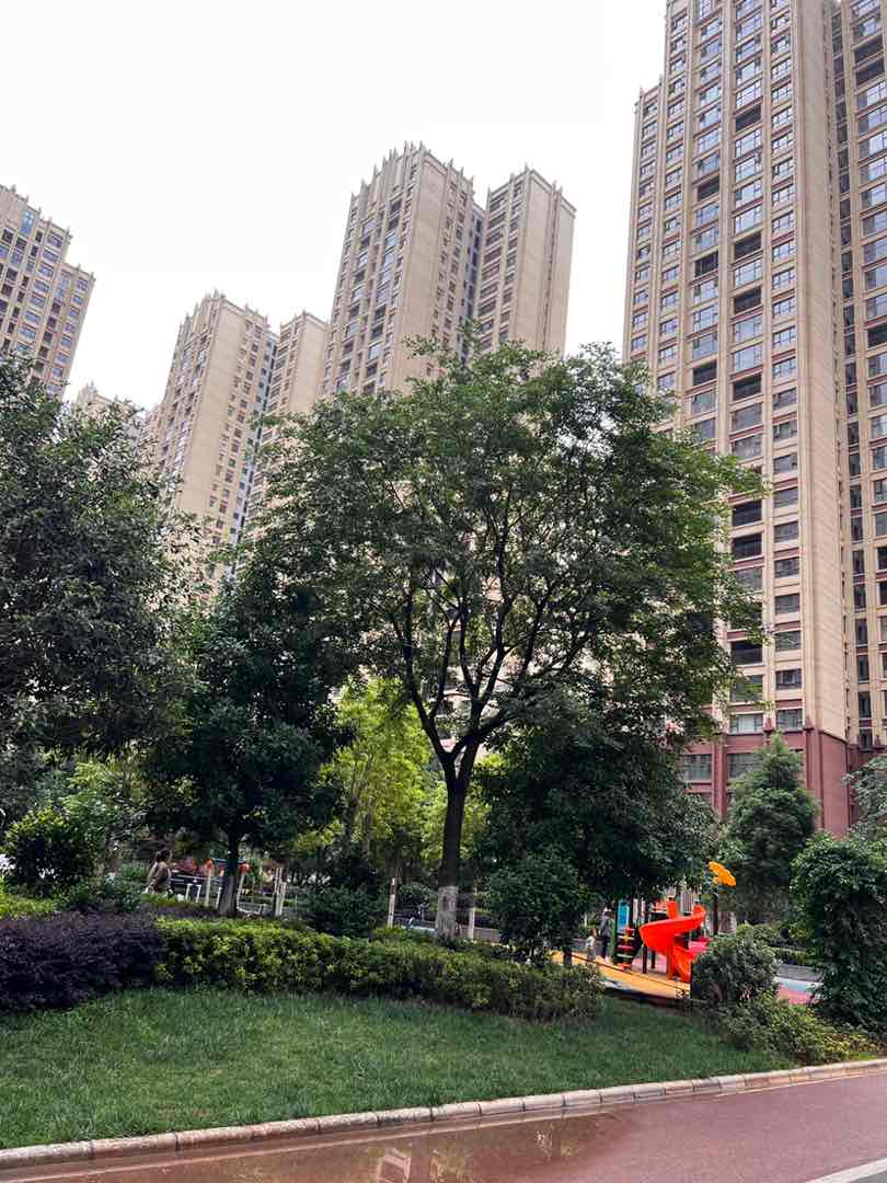 麒麟区南片区精装2室2厅1卫二手房出售15