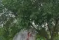 金地球市场旁红光新村别墅区小区欧式联体别墅16
