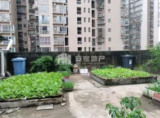 巴州区|南馨苑二期2室2厅1卫出售