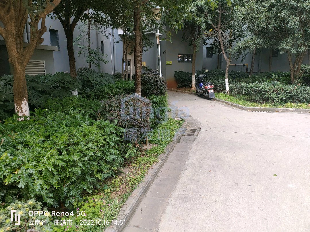麒麟区北片区普通2室2厅1卫二手房出售11