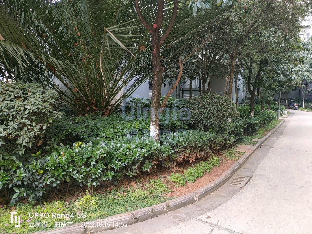 麒麟区北片区普通2室2厅1卫二手房出售12