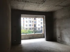 新建区|林家湾小区3室2厅2卫出售
