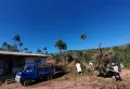 中石坝水库里面500亩山林出租出售5