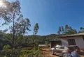 中石坝水库里面500亩山林出租出售1