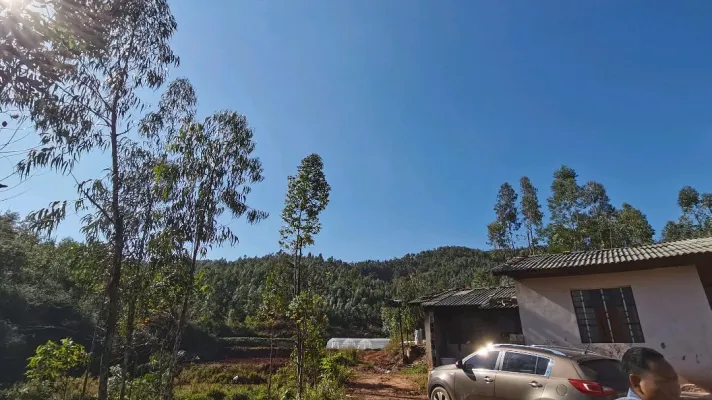 中石坝水库里面500亩山林出租出售