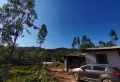 中石坝水库里面500亩山林出租出售6