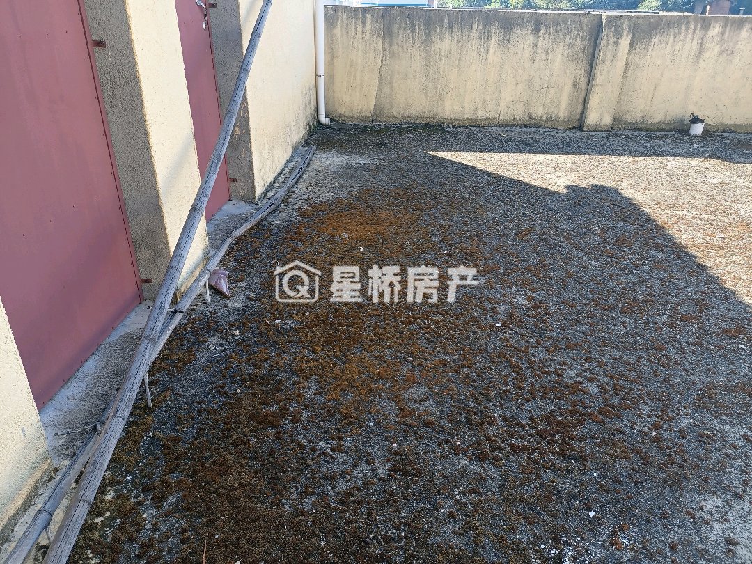 东门排路小区,盐库路毛坯房三楼阳光好送顶及储藏间7