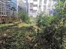 隆阳区|奥新一期3室2厅2卫出售