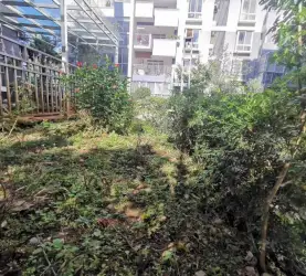隆阳区-城北-奥新一期