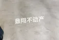 君临豪庭好房，位置好，灿头，有车位，可以直接转户1