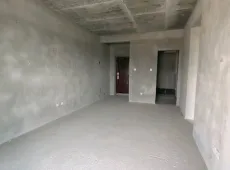 射洪县|正黄金域香江3室2厅2卫出售
