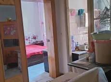 金川区|21区2室1厅1卫出售