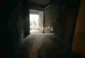 公园里下跃，带前后花园3