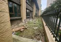 公园里下跃，带前后花园4