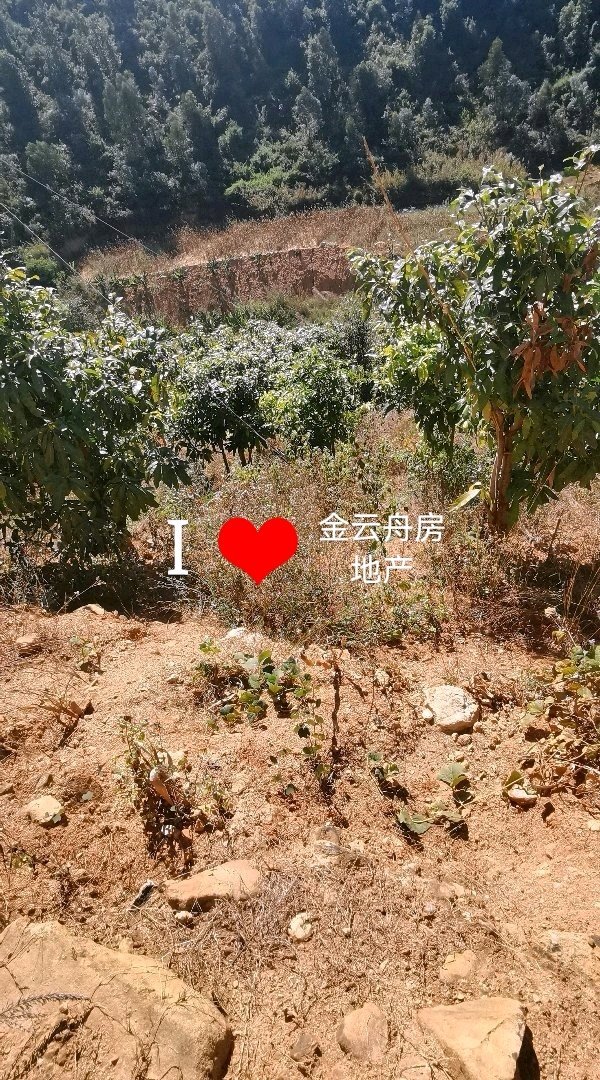 云县土地小区,小平掌，视野开阔，路口好，离城近，价格低4