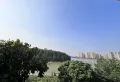 一线湖景看山看水无遮挡 二次装修 花园500方17