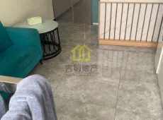 砀山县|砀山古城公园里0室0厅0卫出售