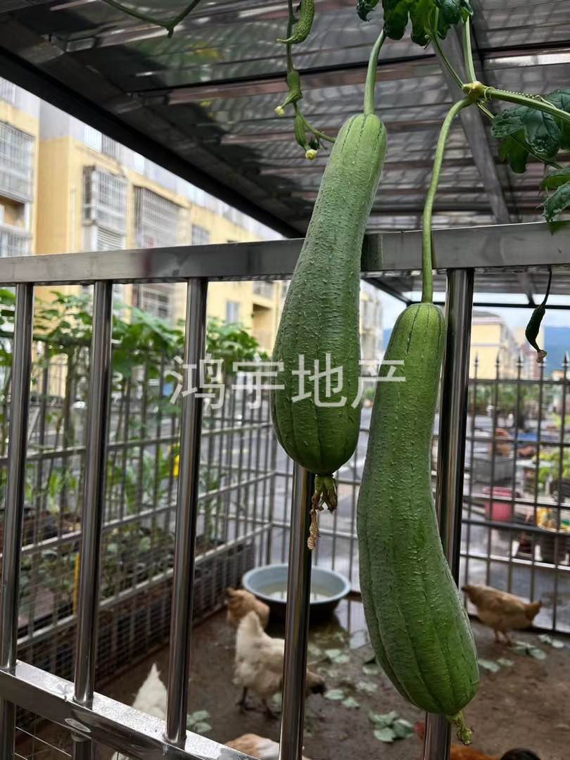 慈云南路,超大露台100多平，地下车库封闭式31平，品牌，家具家电送5