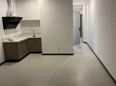 玉环县|绿地城市公馆2室1厅1卫出售