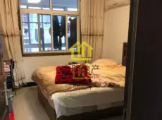 砀山县|盛世小区3室2厅1卫出售