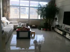 高密市|农丰小区2室1厅1卫出售
