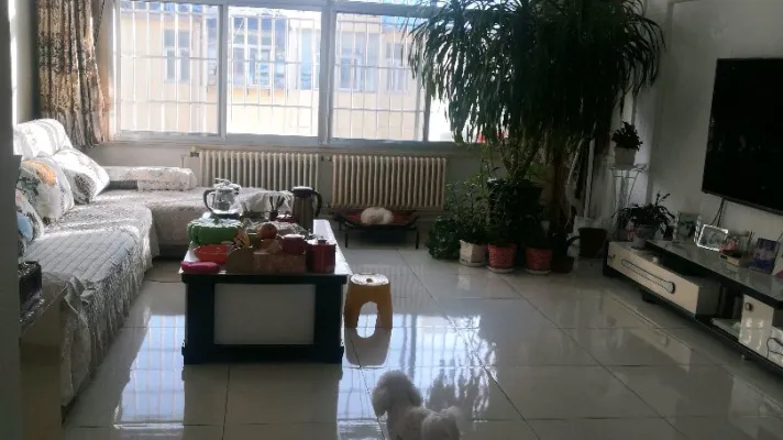 农丰西小区，6楼，两室两厅一卫，精装修，南北卧，带储藏室！