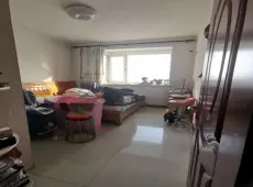 竞秀区|哈罗城东区2室2厅1卫出售