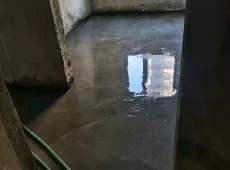 平城区|碧桂园4室2厅3卫出售