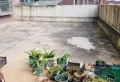 全新装修，拎包入住，小区环境优美2