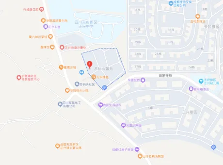 苏码头馨苑-天府新区测试数据正兴镇广东街