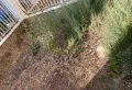 和瑞苑1楼带花园清水毛坯房出售9