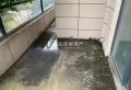 江山壹号！大别墅！好房源！9