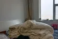 南北通透，三室两厅两卫，房本满2年1