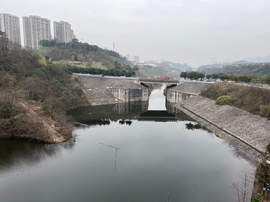 金科中央御院,临湖二期高层三房双卫，住家装修，诚心出售9