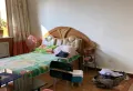 今年三月份，房本满一年！租了半年，10月份到期7