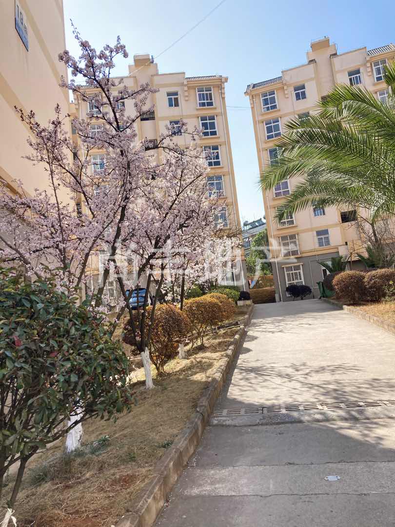 都市森邻,都市森邻小区中间单元房3楼 大四室一线品牌装修、换别墅诚售14